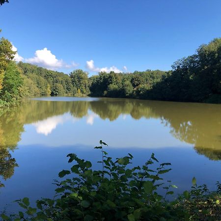 Le Charme De L'Ancien Au Calme Et A 8 Min De Chenonceaux Apartment La Croix-en-Touraine Bagian luar foto